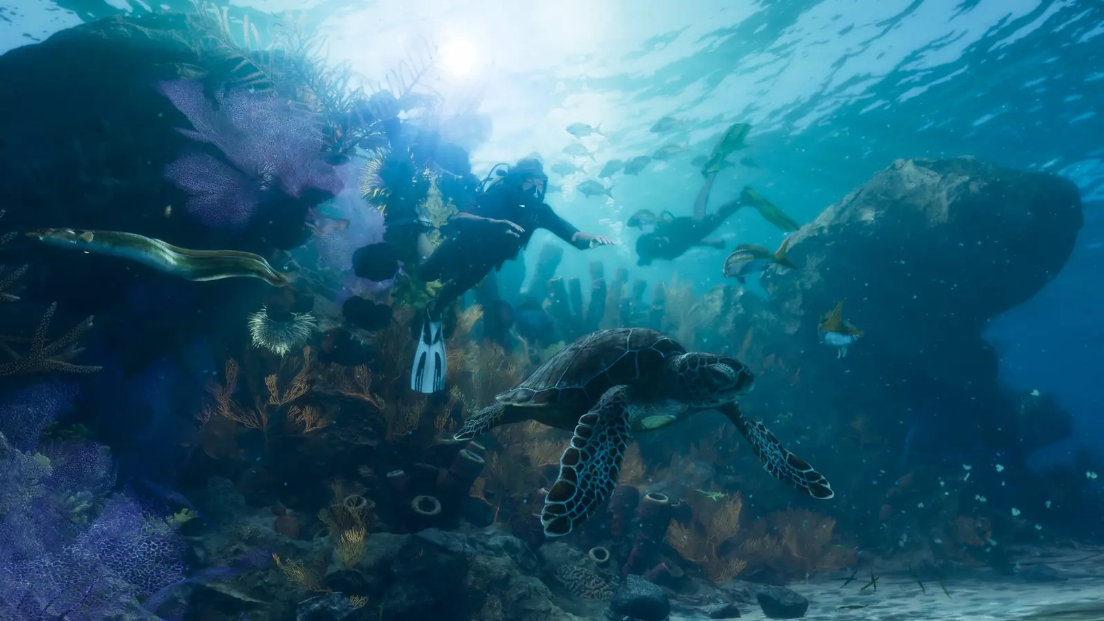 Deux plongeurs parmi les coraux, les poissons et une tortue de mer dans les Leonida Keys.